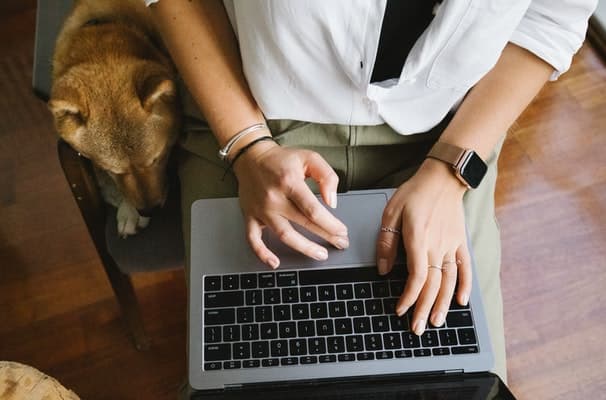 dog and computer
